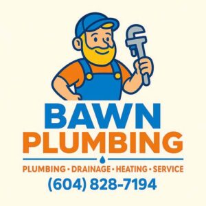 Bawn Plumbing Logo
